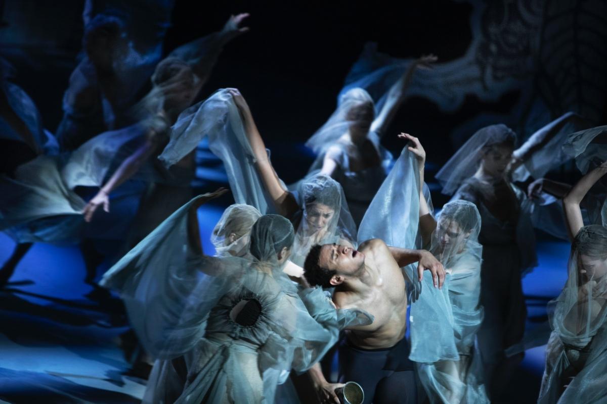 Ryan Tomash, Den Kongelige Ballet, Et Folkesagn